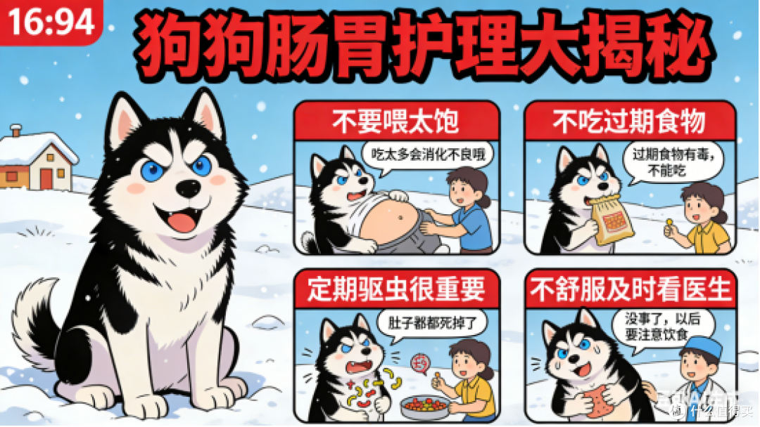 哪款狗粮适合肠胃不好狗吃？2025护肠狗粮实测榜推荐