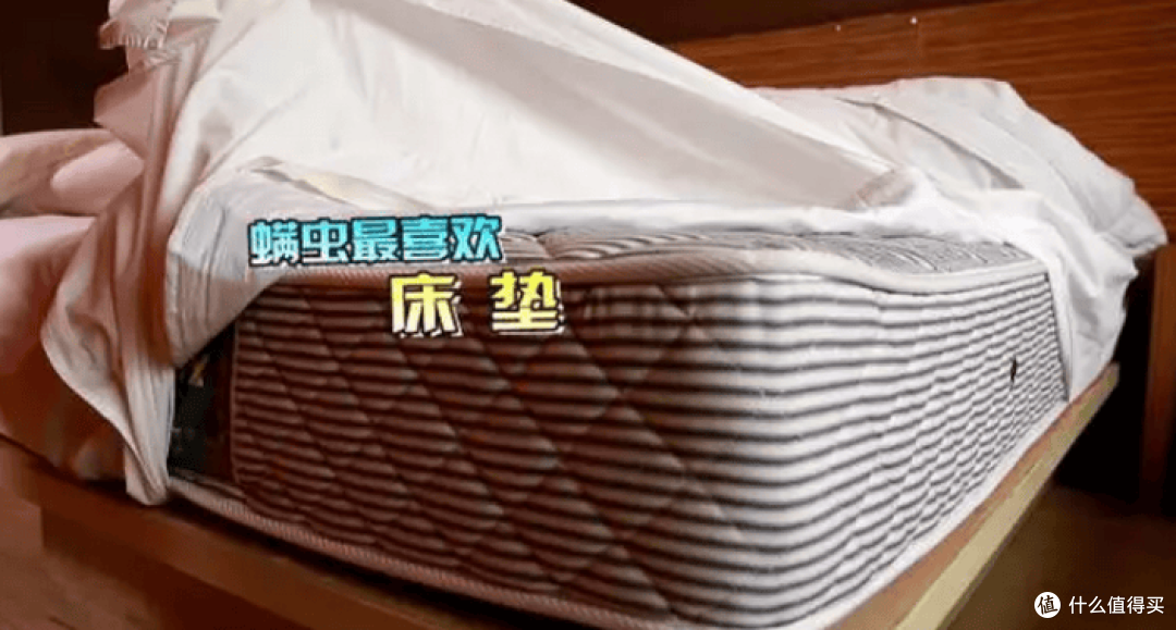 家中有必要买智能除螨仪吗?十大公认好用的除螨仪推荐!