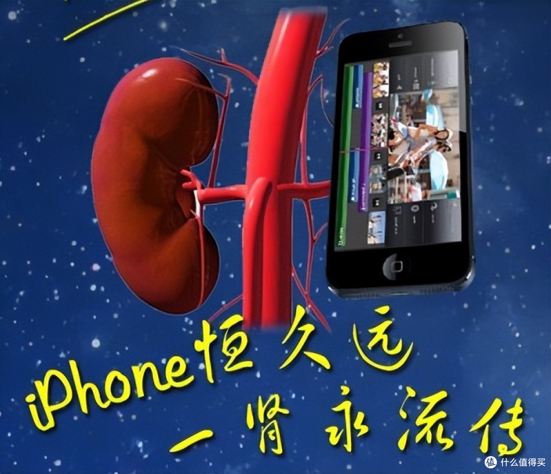为何几乎所有动物都左右对称?