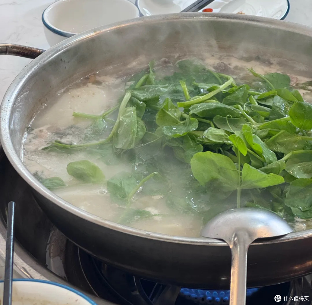成都郫都私藏!32年羊肉汤锅店,豌豆尖才是灵魂