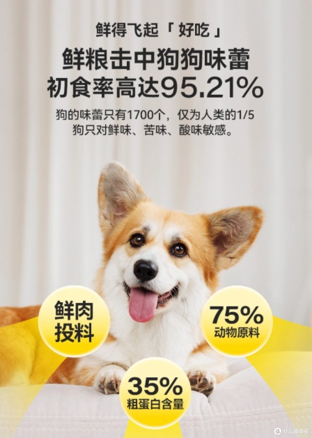 狗粮怎么选,聪颖狗粮适口性怎么样?有适口性好的狗粮推荐吗