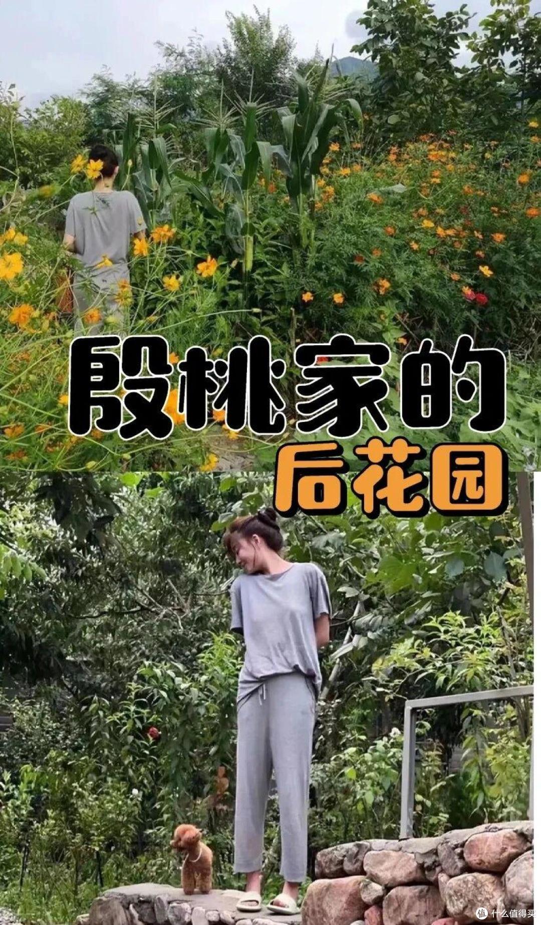 46岁殷桃的“豪宅”又火了，仅一院子就圈粉无数，那叫一个壮观！