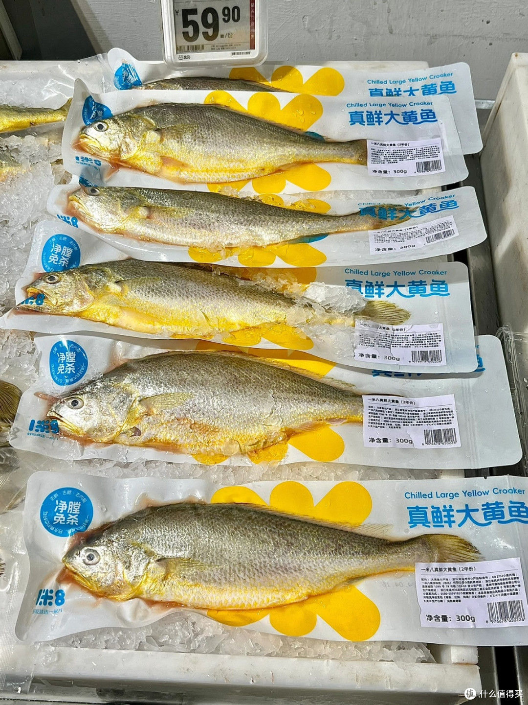 冬季海鲜C位!盒马一米八真鲜大黄鱼鲜到上头