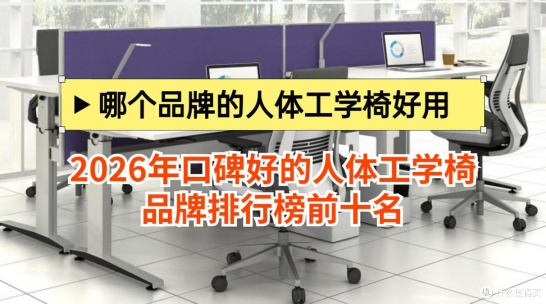 哪个品牌的人体工学椅好用？2026年口碑好的人体工学椅品牌排行榜