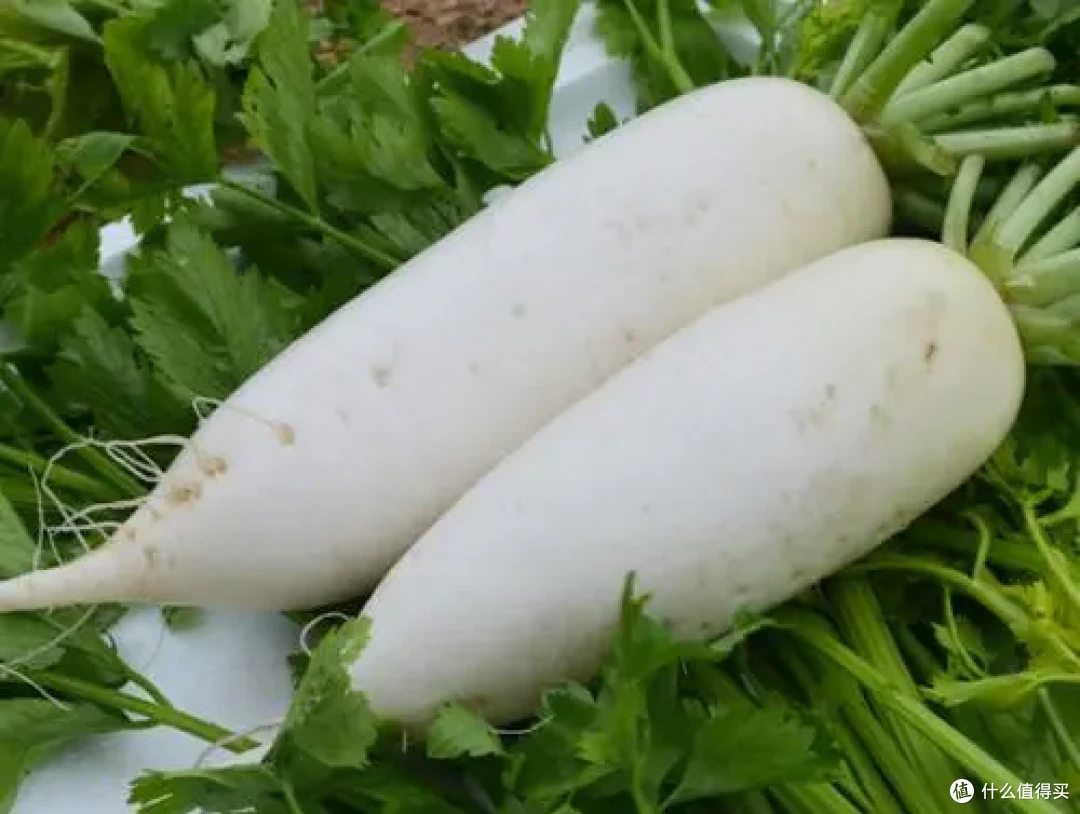冬雪落,根菜香:5种暖身食材,治愈整个寒冬