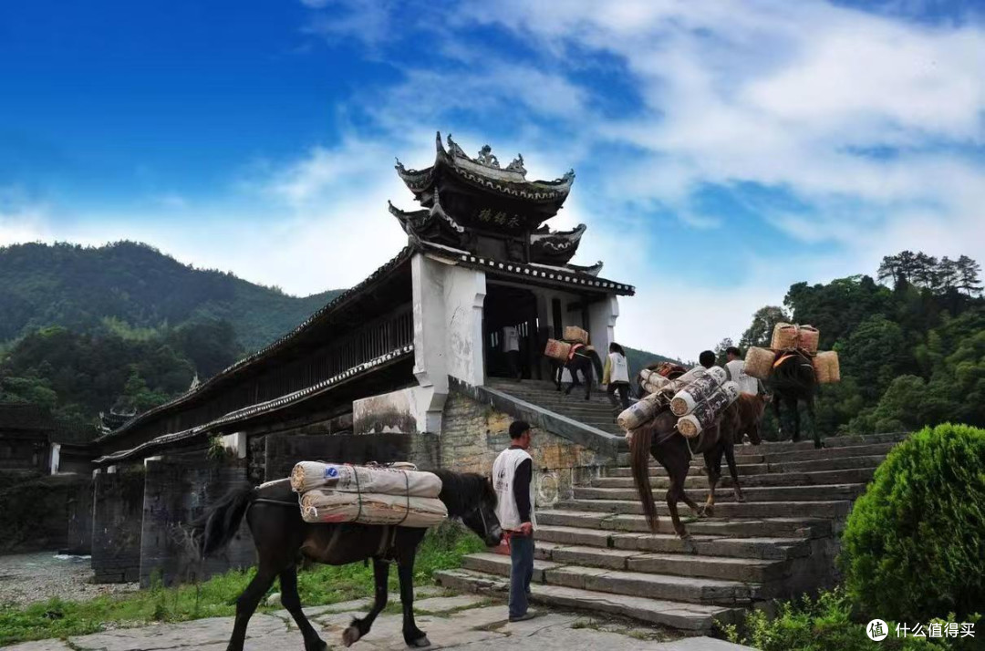 2025年多国免签政策助力旅行