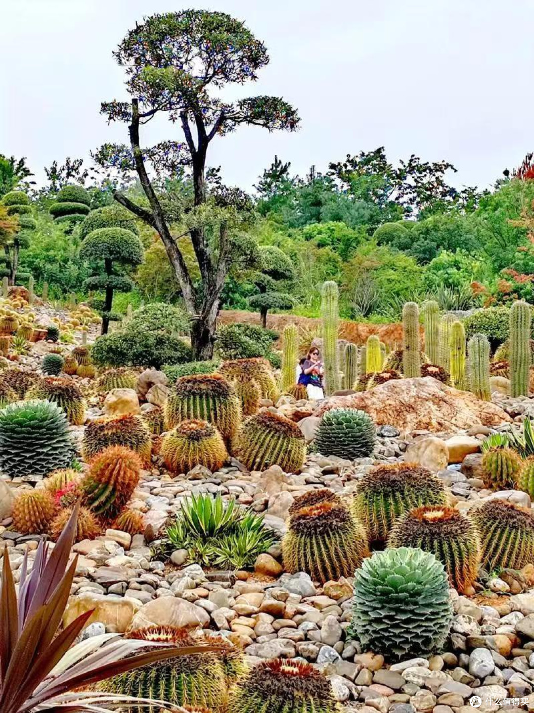 免签落地签让旅行更便捷