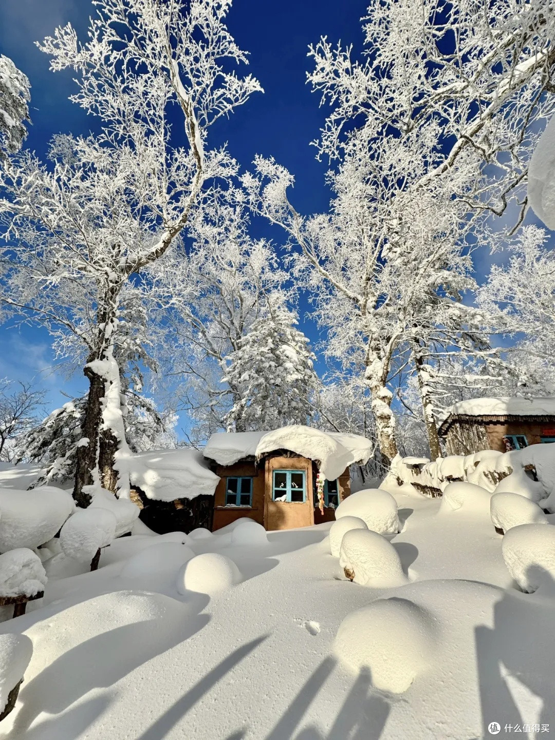 带娃闯狗熊岭!哈尔滨亲子雪乡攻略,行程+玩法全解锁