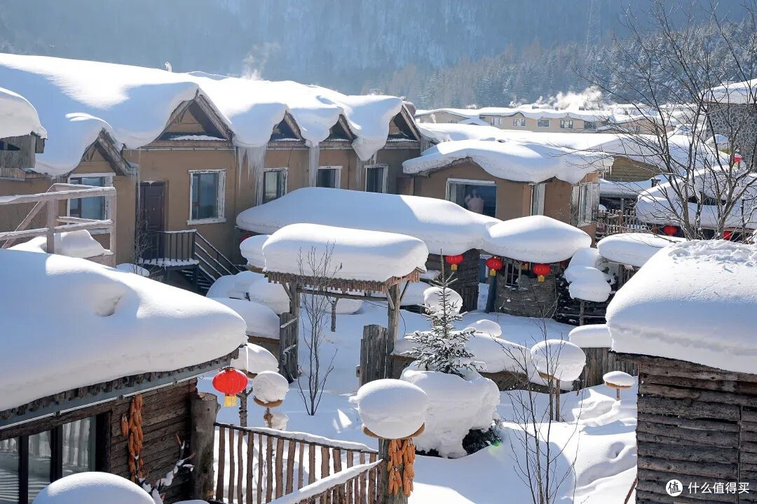带娃闯狗熊岭！哈尔滨亲子雪乡攻略，行程+玩法全解锁