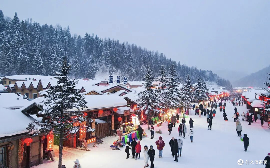 哈尔滨+雪乡亲子游全攻略:行程规划+带娃避坑,玩转冰雪童话