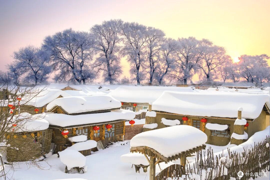 哈尔滨+雪乡亲子游全攻略:行程规划+带娃避坑,玩转冰雪童话