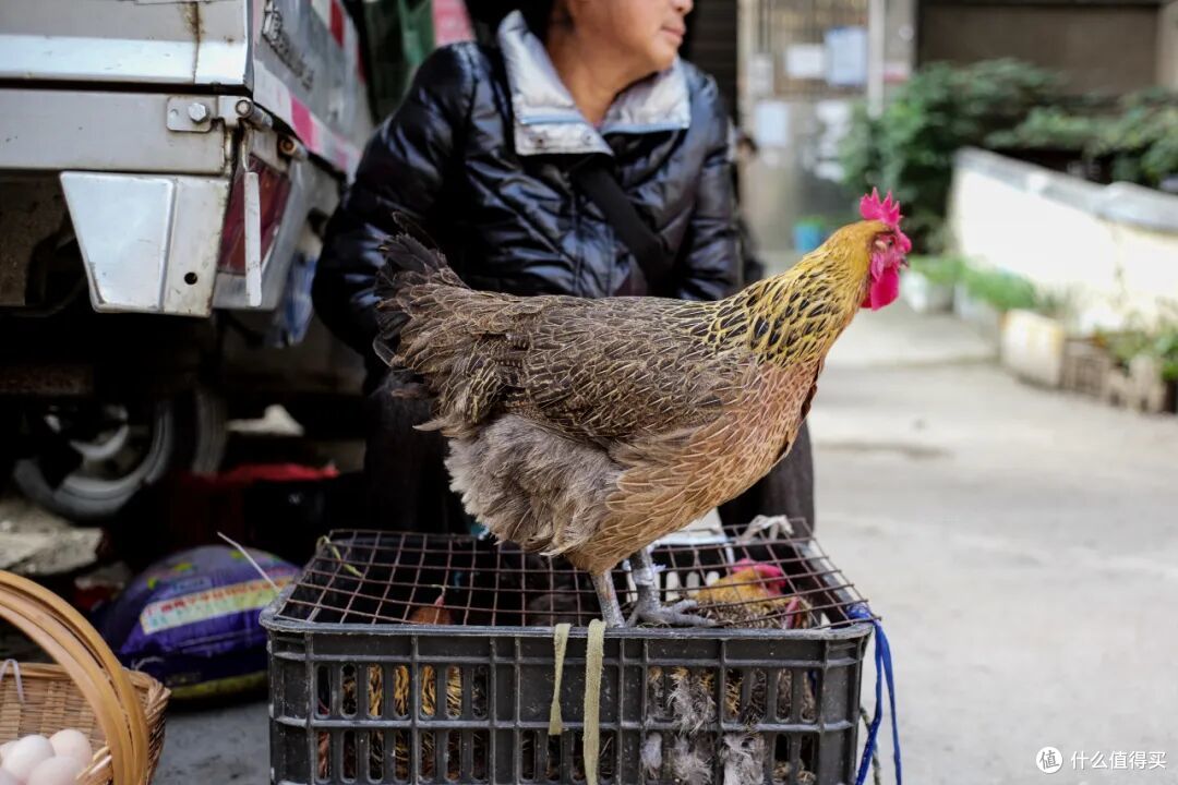 吃到了“饭饭封神”的城市,不火简直没道理