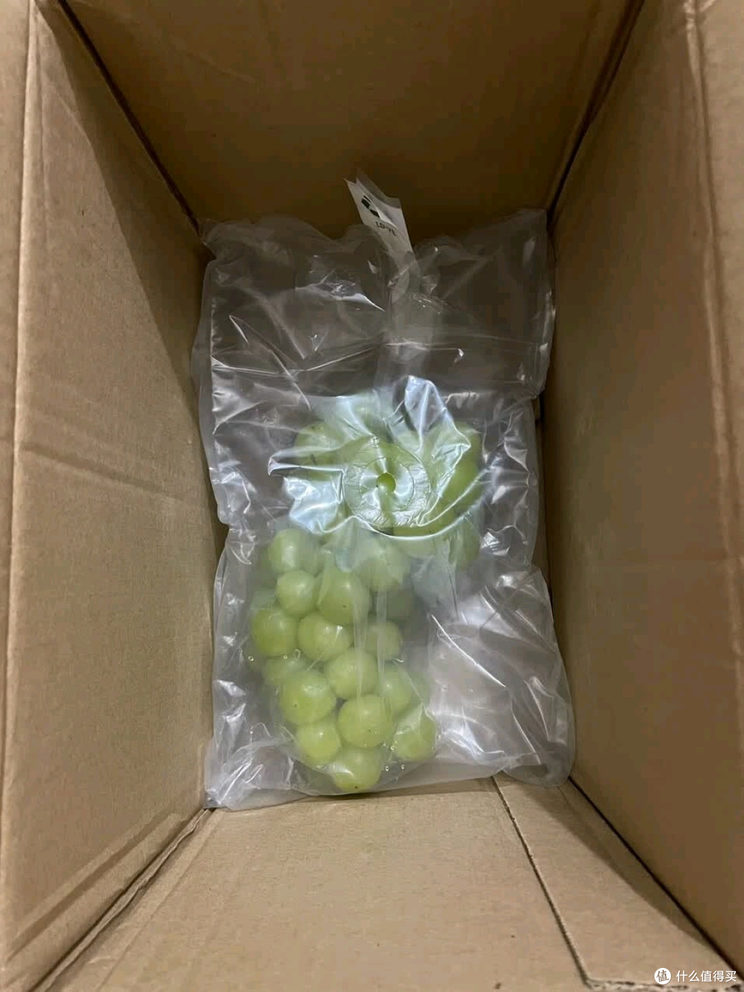 阳光玫瑰葡萄晴王青提香水提子