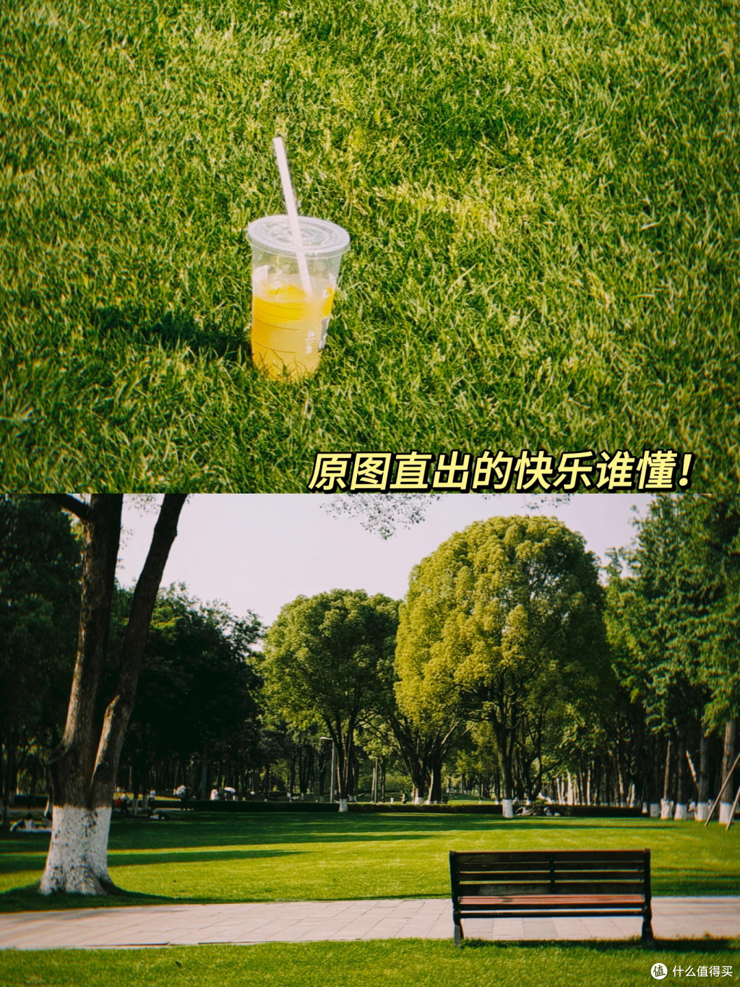 宝子们听我一句劝,这个拍照软件真的闭眼冲都不亏!