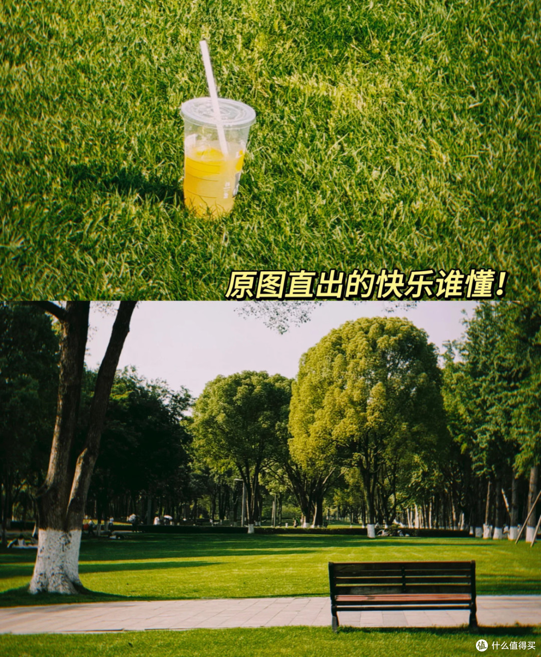 复古滤镜拍照神器