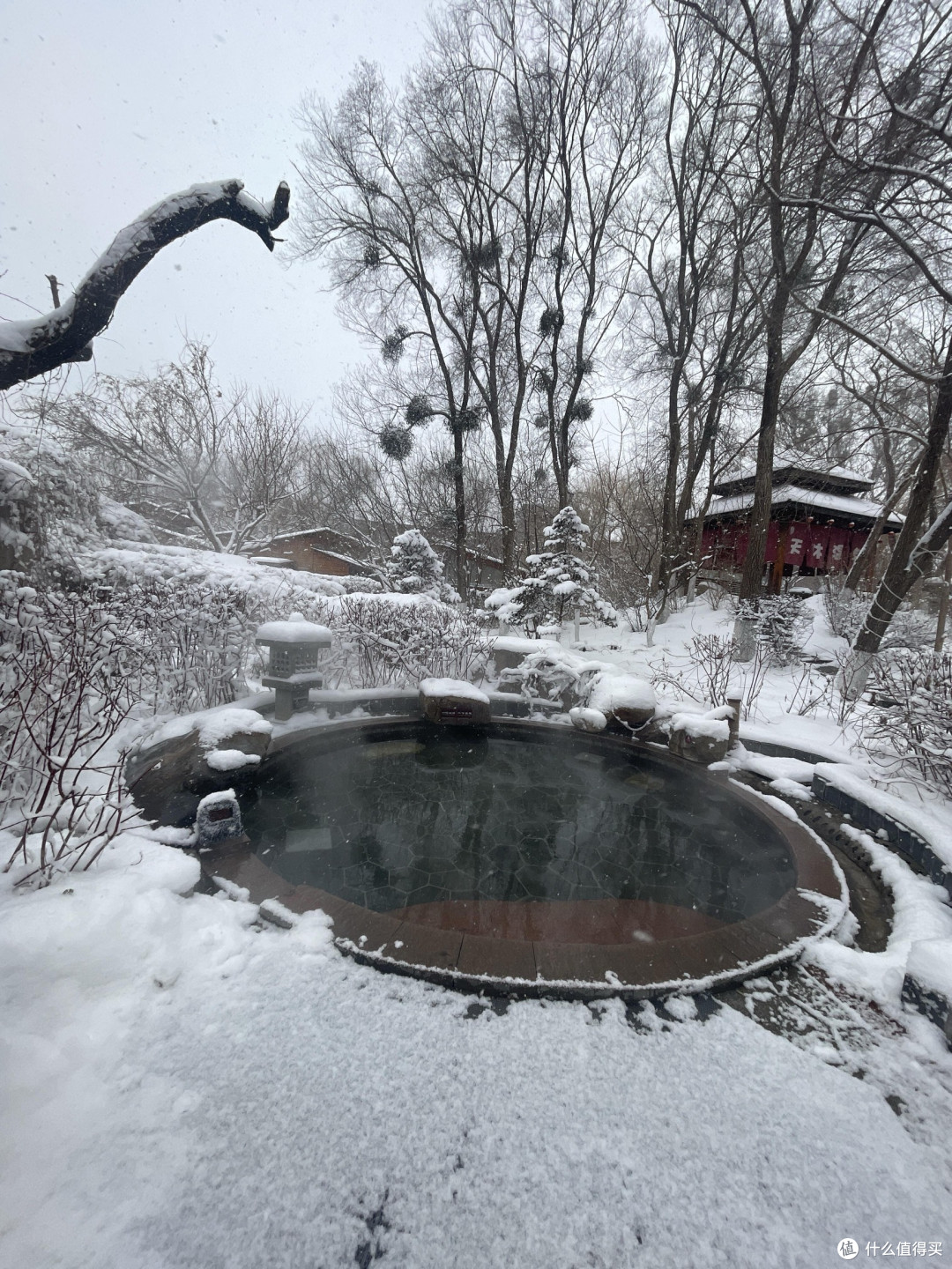 雪落鲅鱼圈|一半冰雪狂欢,一半温泉烟火的冬日治愈之旅