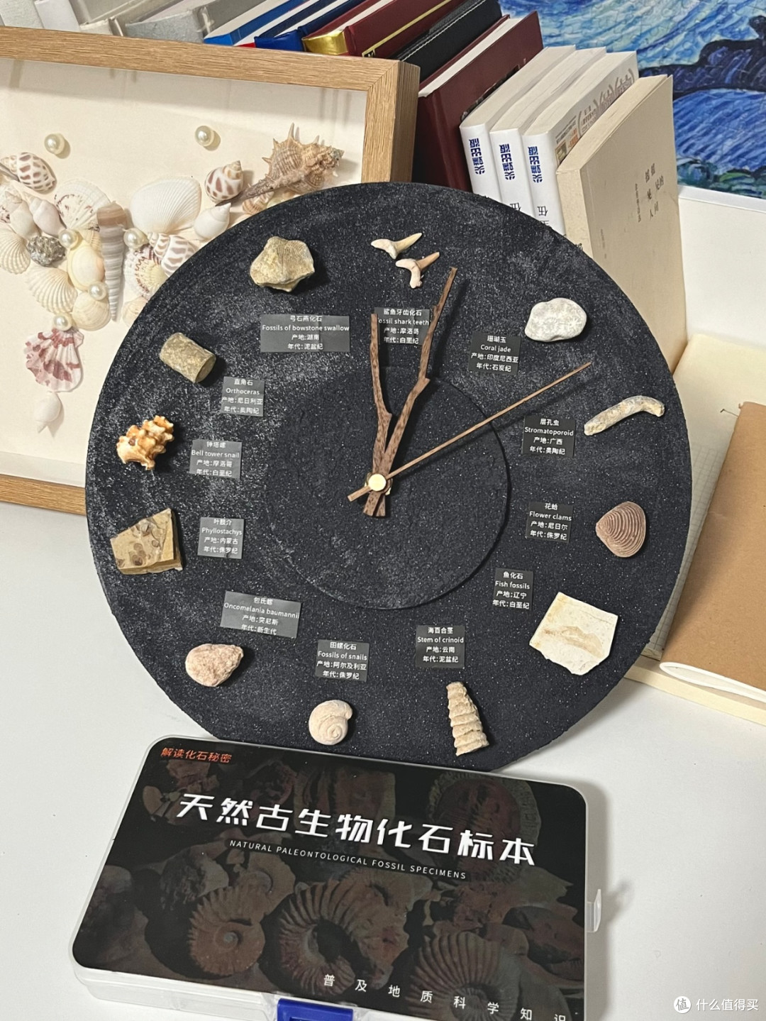 复刻世纪时钟!把亿万年化石搬进家居🕰️