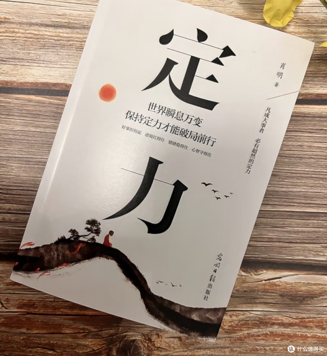 《定力》助我告别拖延与不安