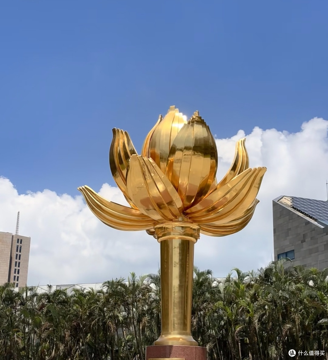 免签畅玩澳门！拿起护照解锁中西风情治愈之旅