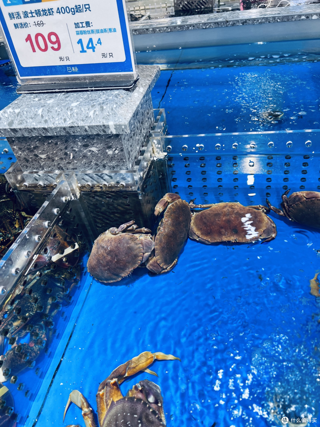 冬日海味，鲜活池鲜里的暖食盛宴！