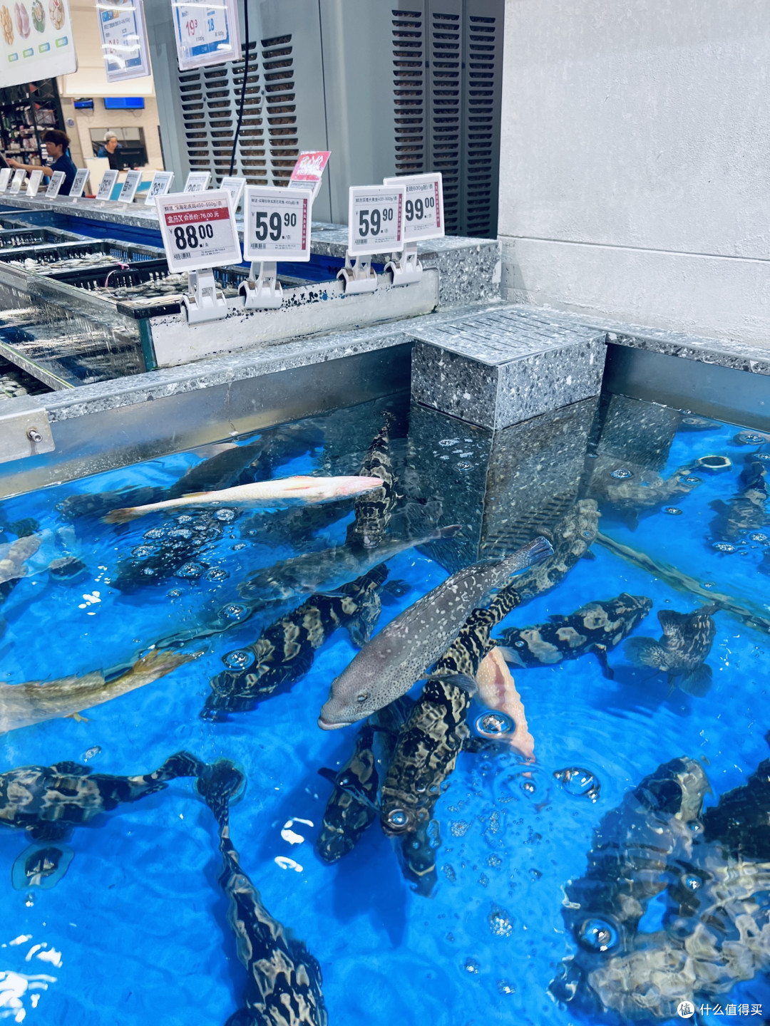 冬日海味，鲜活池鲜里的暖食盛宴！