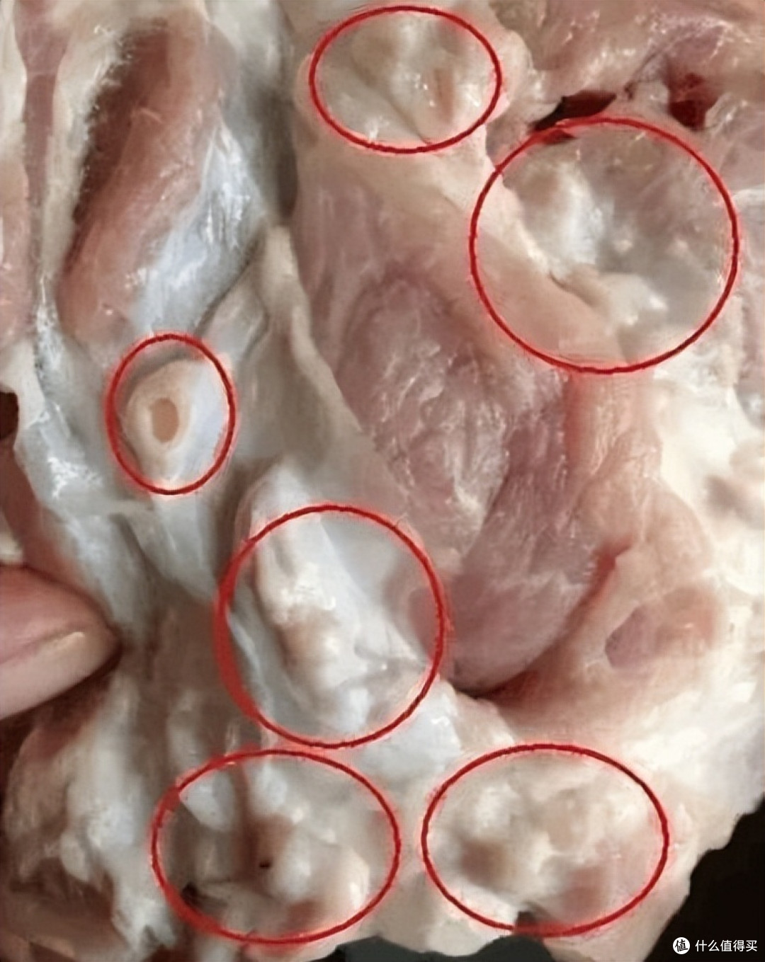 买猪肉,遇到这3种别买!肉贩子:不懂的人才吃