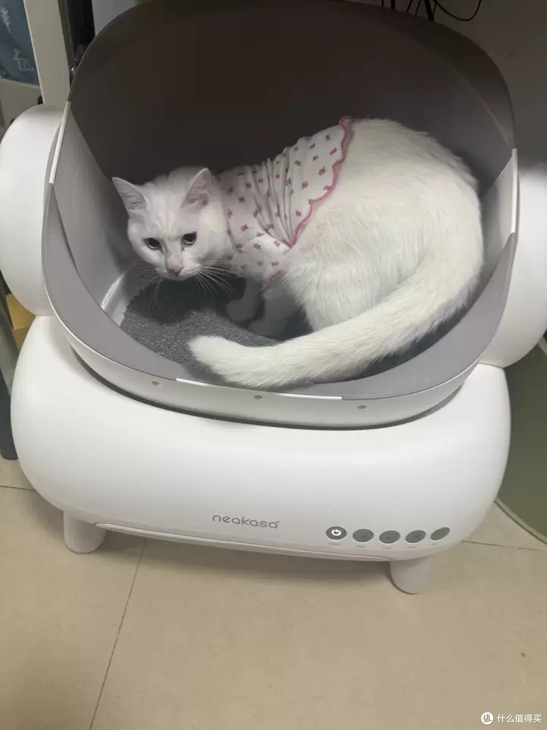 宜宝智能猫砂盆:多猫家庭的福音