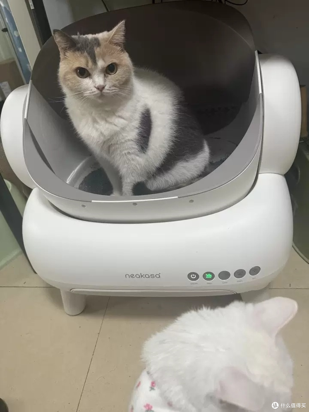 宜宝智能猫砂盆:多猫家庭的福音