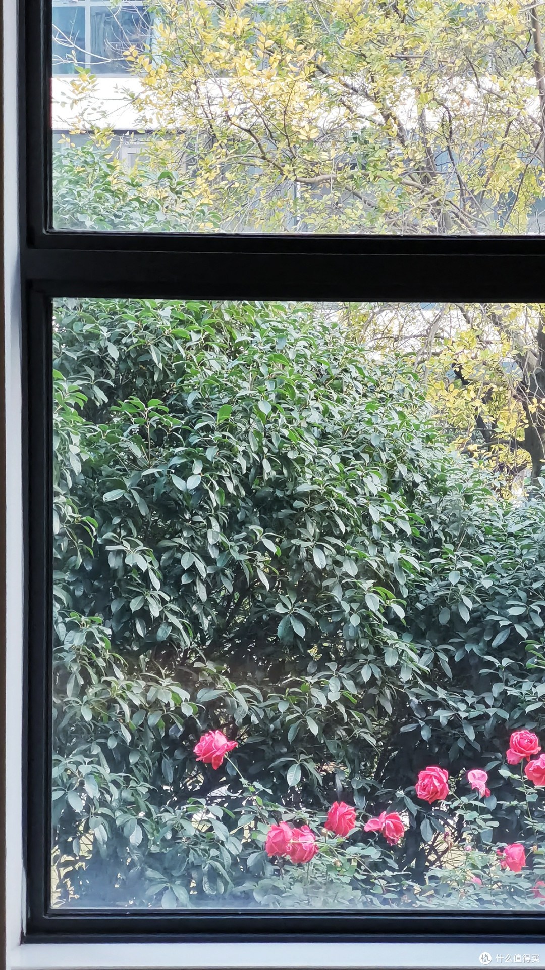 不到300的IHG旗下露台江景房,还要啥自行车—宜昌长江智选假日