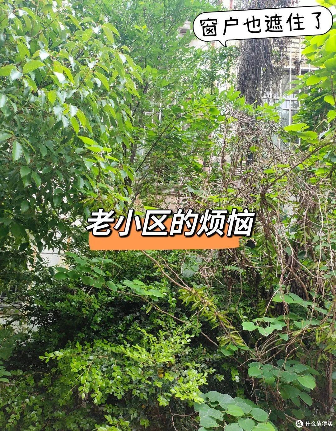 为什么这么多人拒交物业费？看完这8个原因后，我也义愤填膺了！