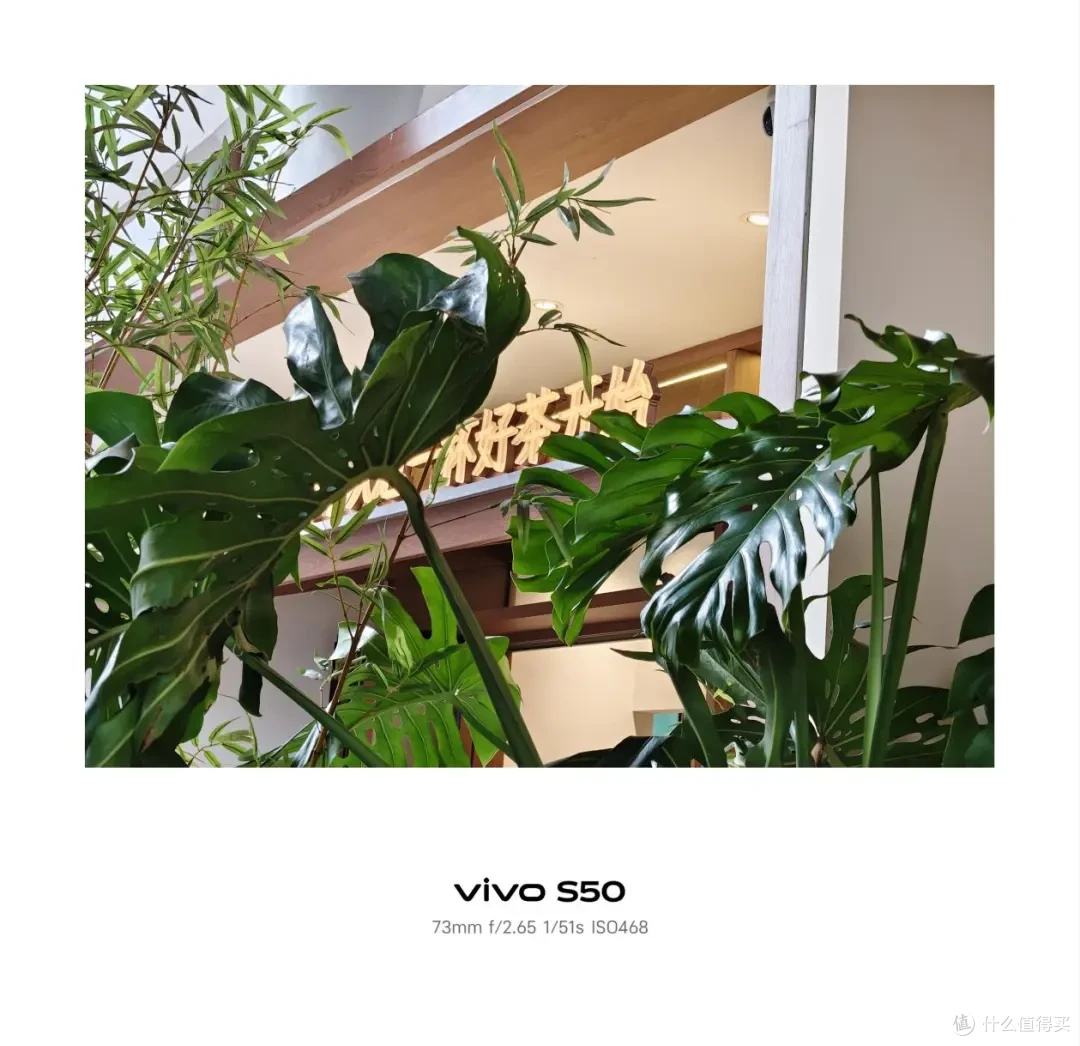 vivo S50测评:Live出片实力派