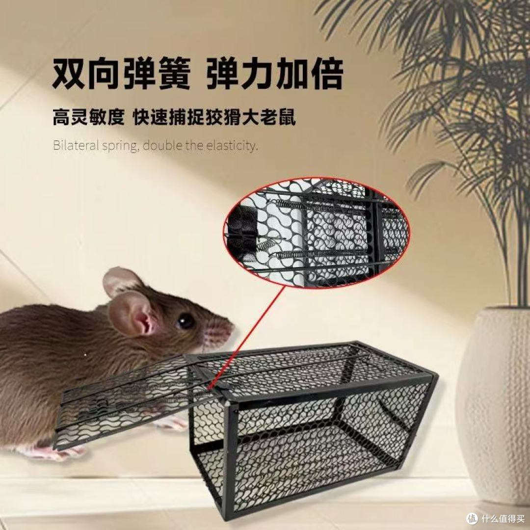 鲁鲁鼠捕鼠器实测!家用仓库灭鼠神器yyds✨