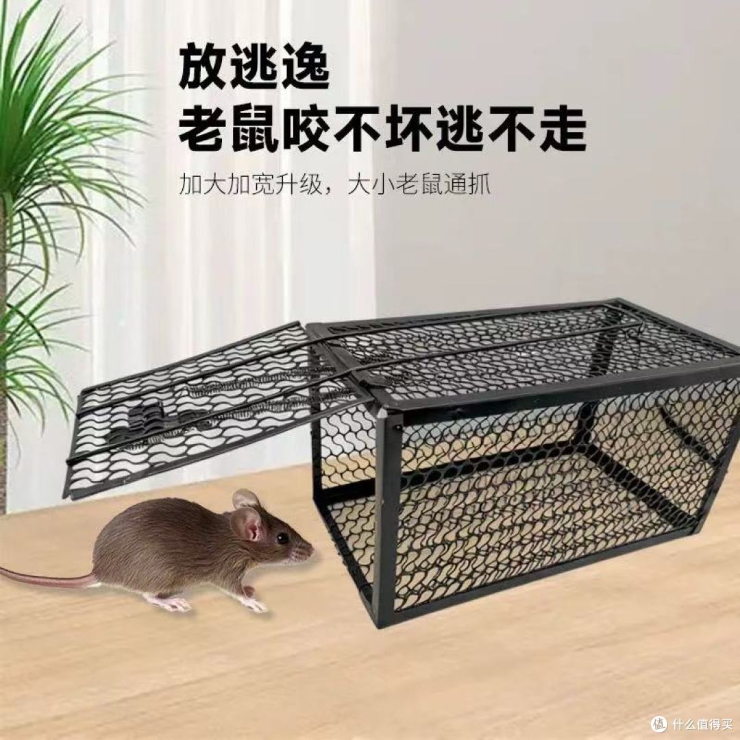 鲁鲁鼠捕鼠器实测!家用仓库灭鼠神器yyds✨