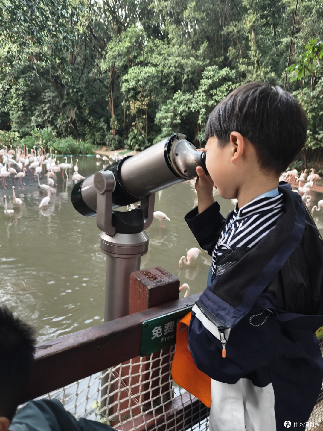 免费的望远镜