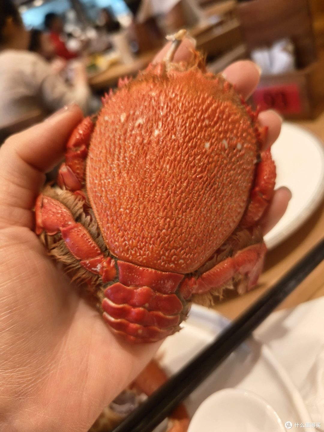 这个叫什么