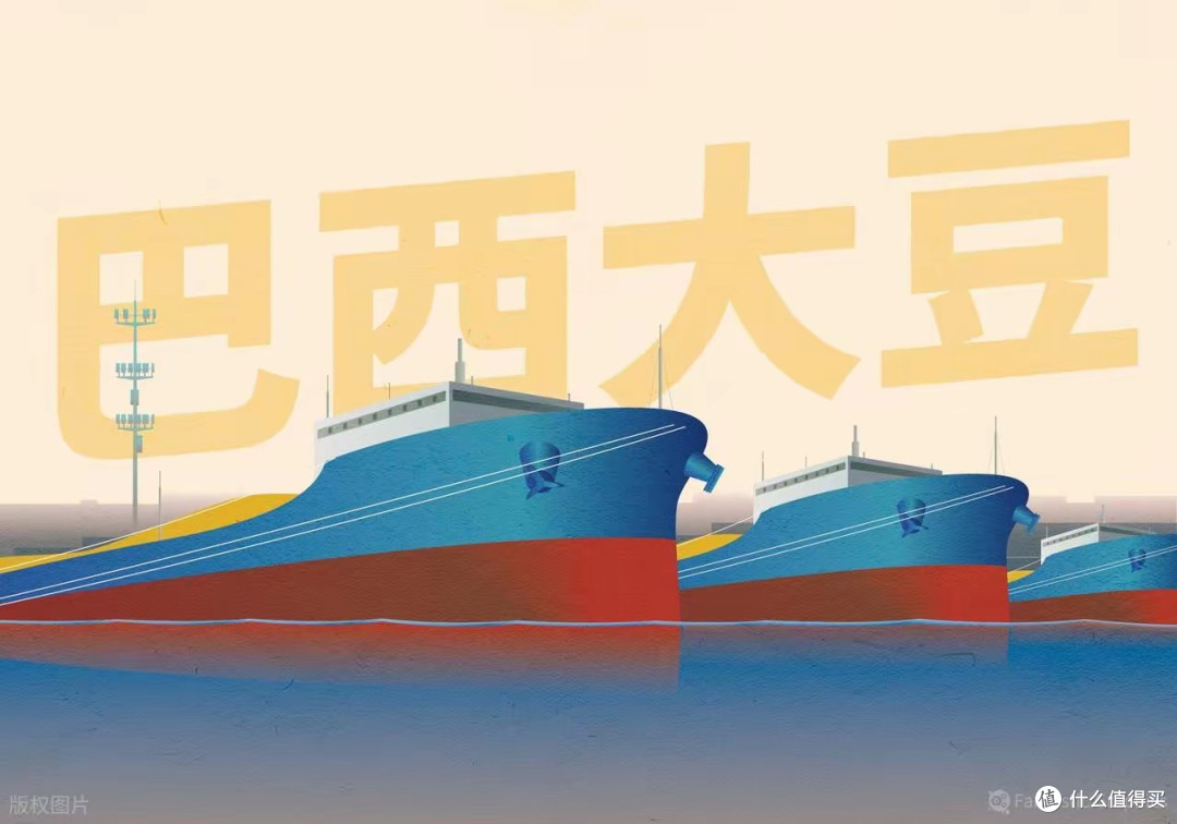 中国粮食会更安全!未来大豆进口依赖或降至30%以下