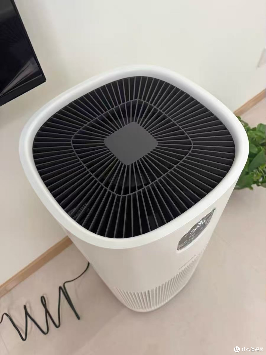 过敏星人狂喜!东芝大白梨让我告别打喷嚏