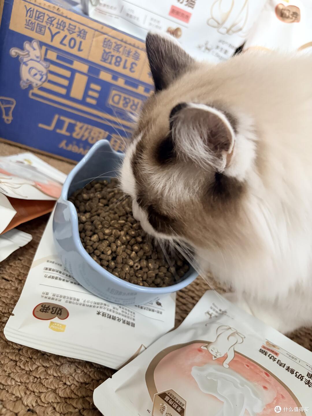 图片 5