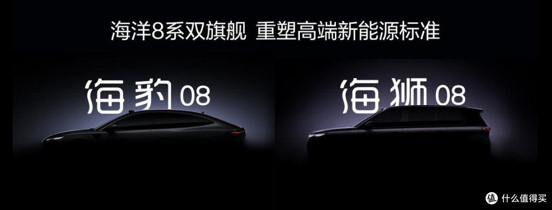 海豹08海狮08重磅亮相！海洋网四年600万用户双向奔赴