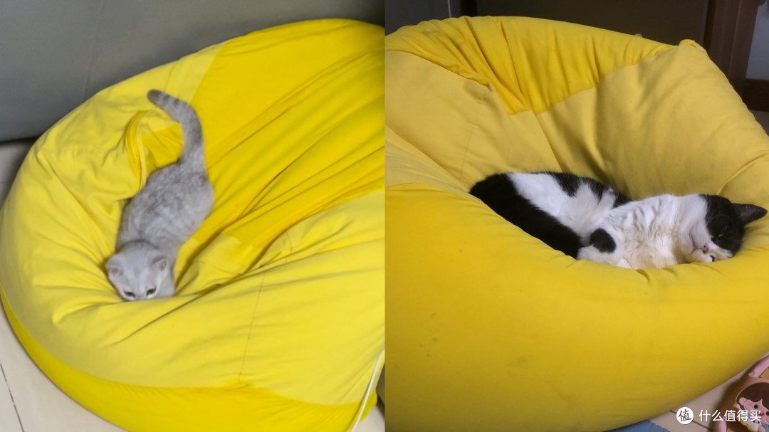 小佩MAX2升级小佩MAX PRO2猫厕所体验记