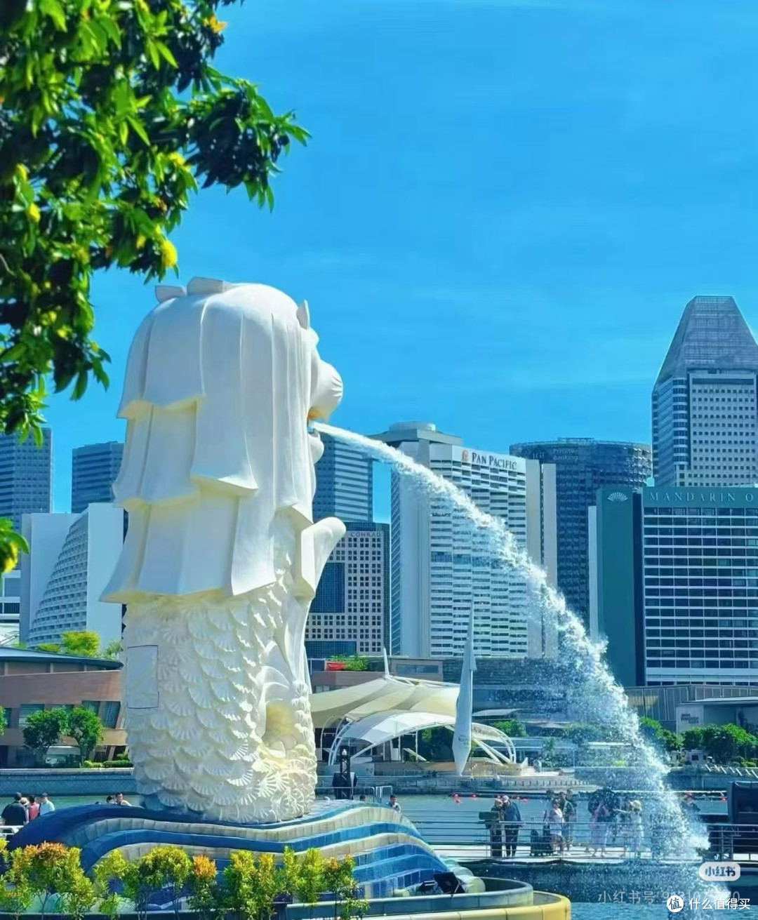 新加坡免签旅游攻略:开启“花园城市”的梦幻之旅