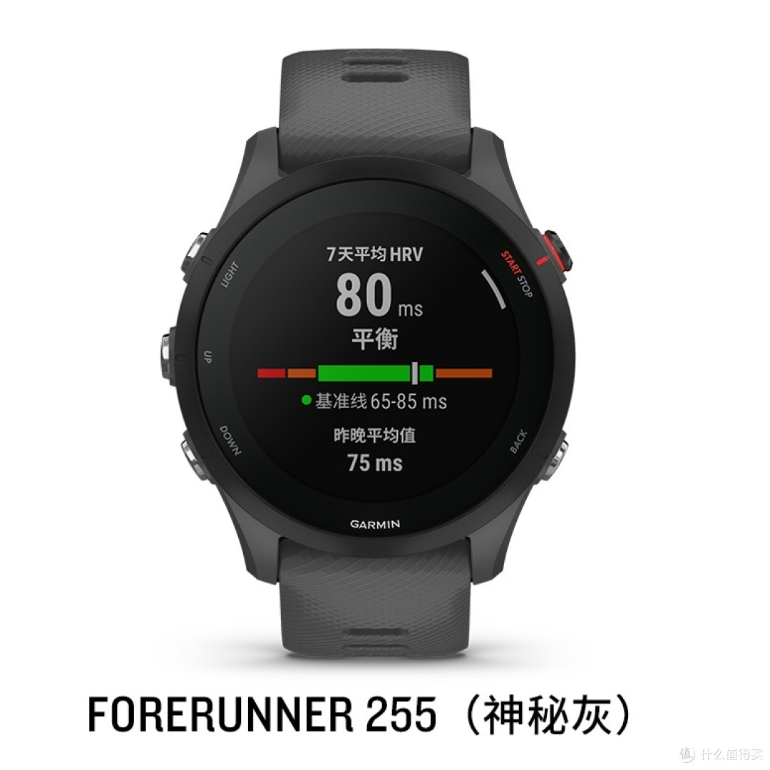 从入门到专业:五款热门跑步手表