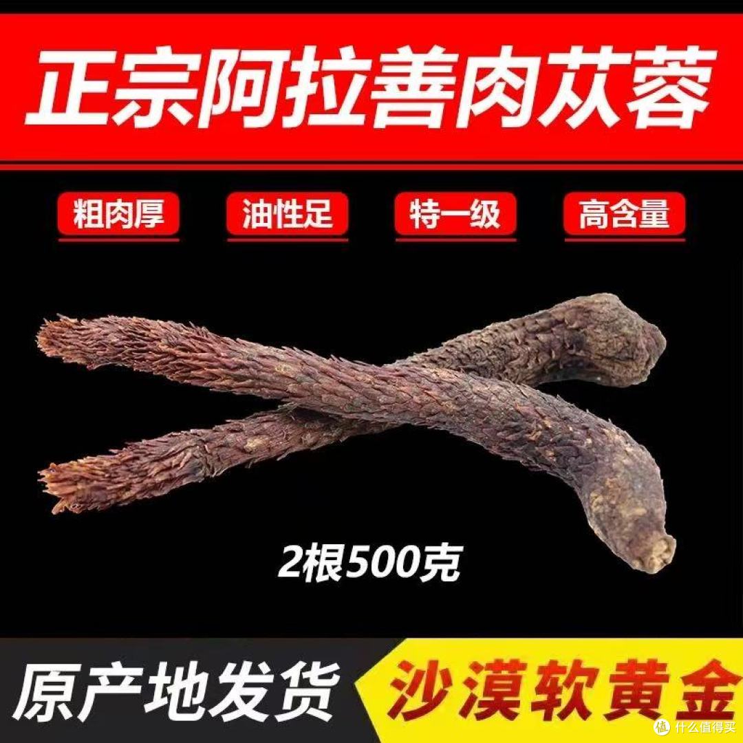 阿拉善油性肉苁蓉封神!泡茶泡酒党必藏干货