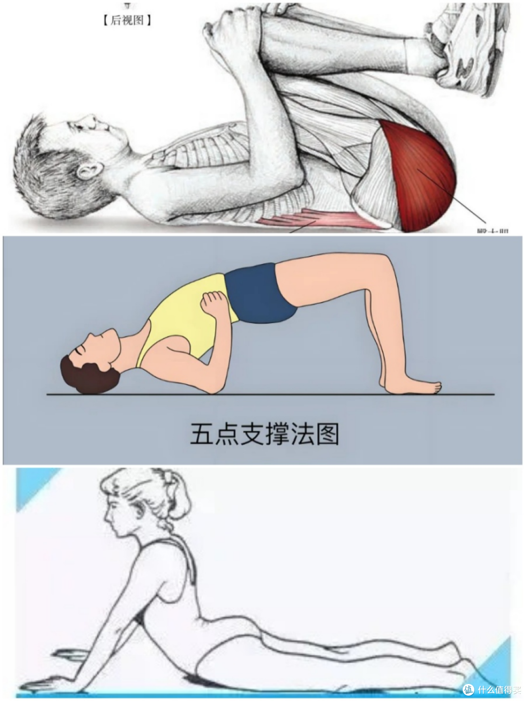 腰椎间盘突出,该休息还是锻炼?