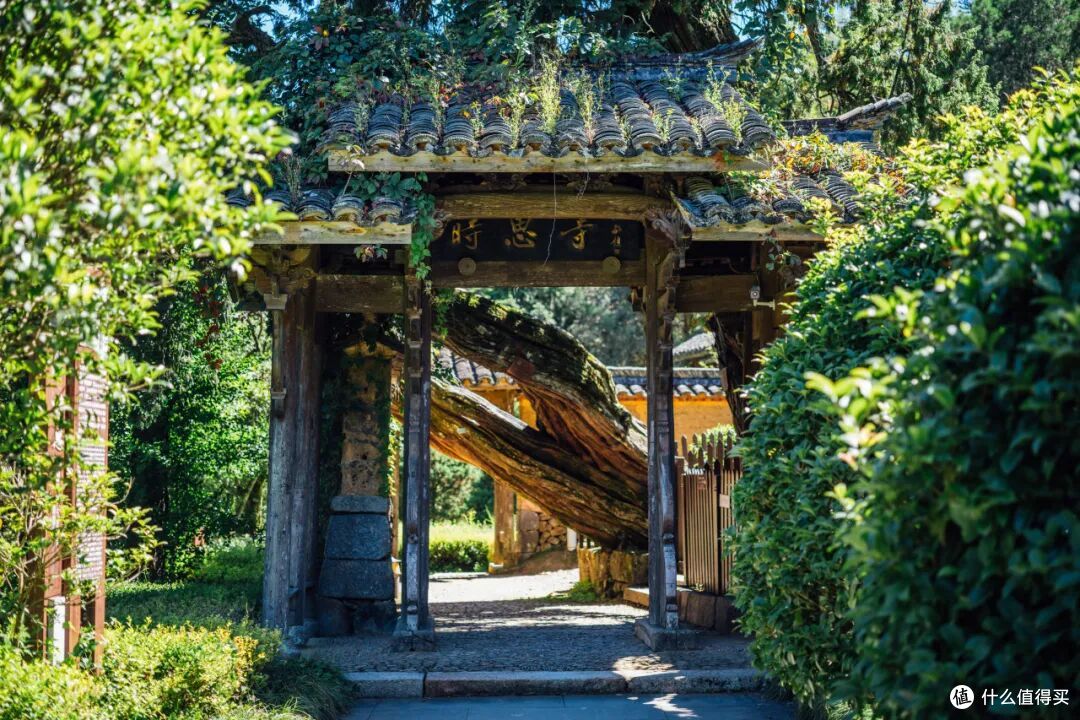 这个人少景美的避世小城,距离顶流度假地,只有一个火车站的距离