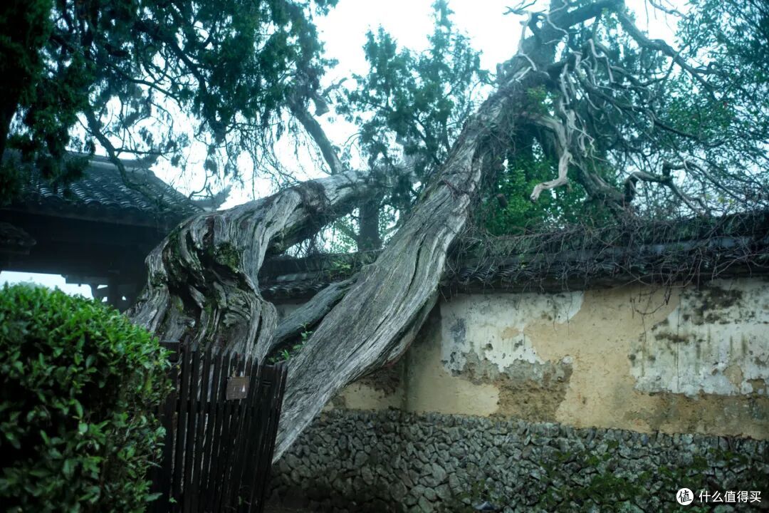 这个人少景美的避世小城,距离顶流度假地,只有一个火车站的距离