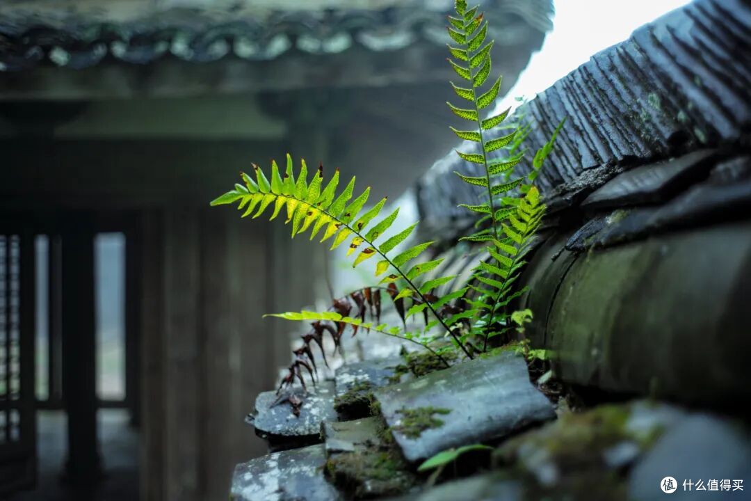 这个人少景美的避世小城,距离顶流度假地,只有一个火车站的距离
