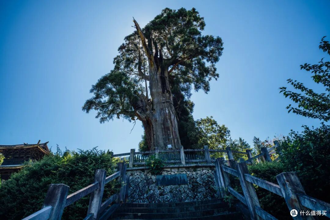 这个人少景美的避世小城,距离顶流度假地,只有一个火车站的距离