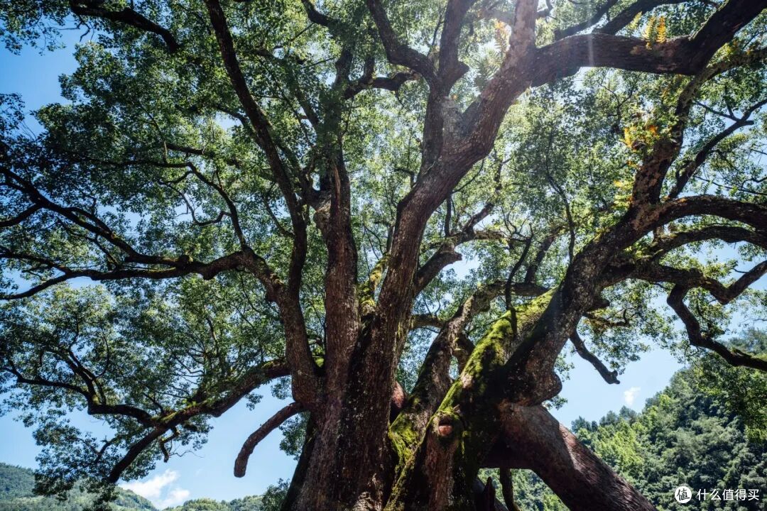 这个人少景美的避世小城,距离顶流度假地,只有一个火车站的距离