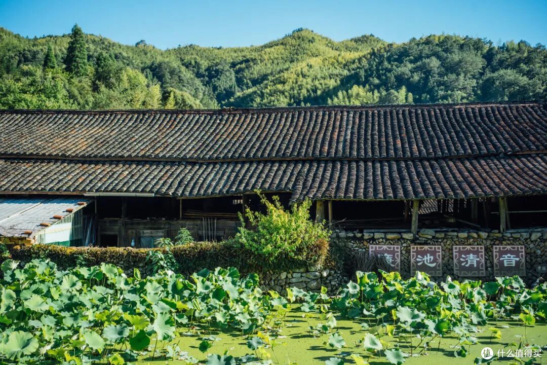 这个人少景美的避世小城,距离顶流度假地,只有一个火车站的距离